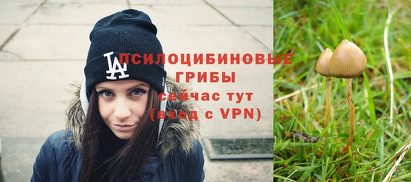 молекула духа Саяногорск
